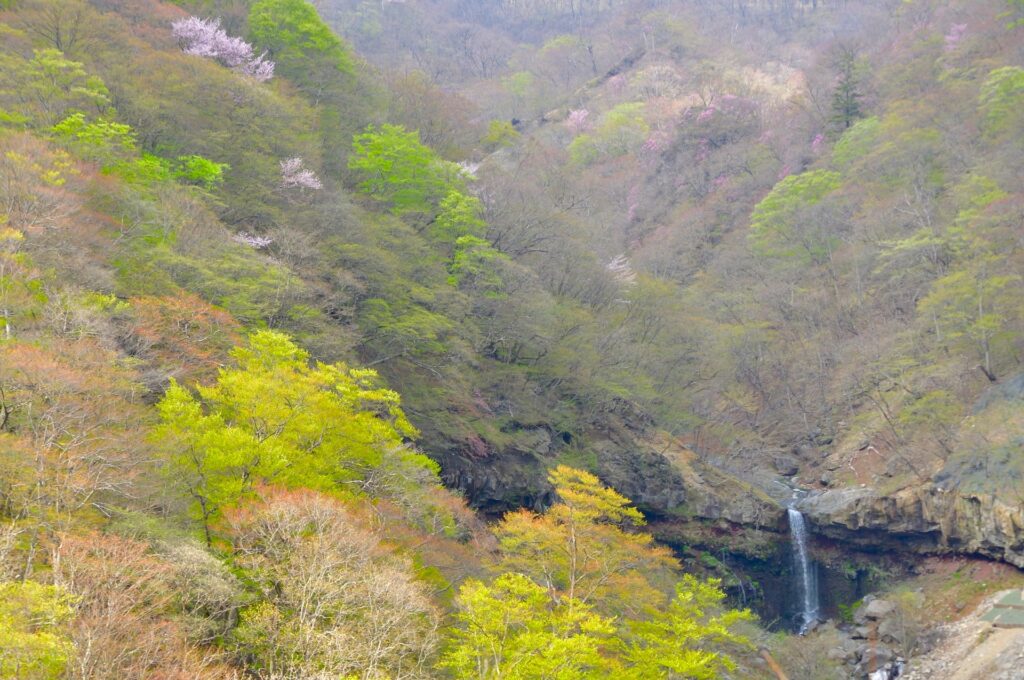 第1いろは坂・剣ヶ峰展望所
