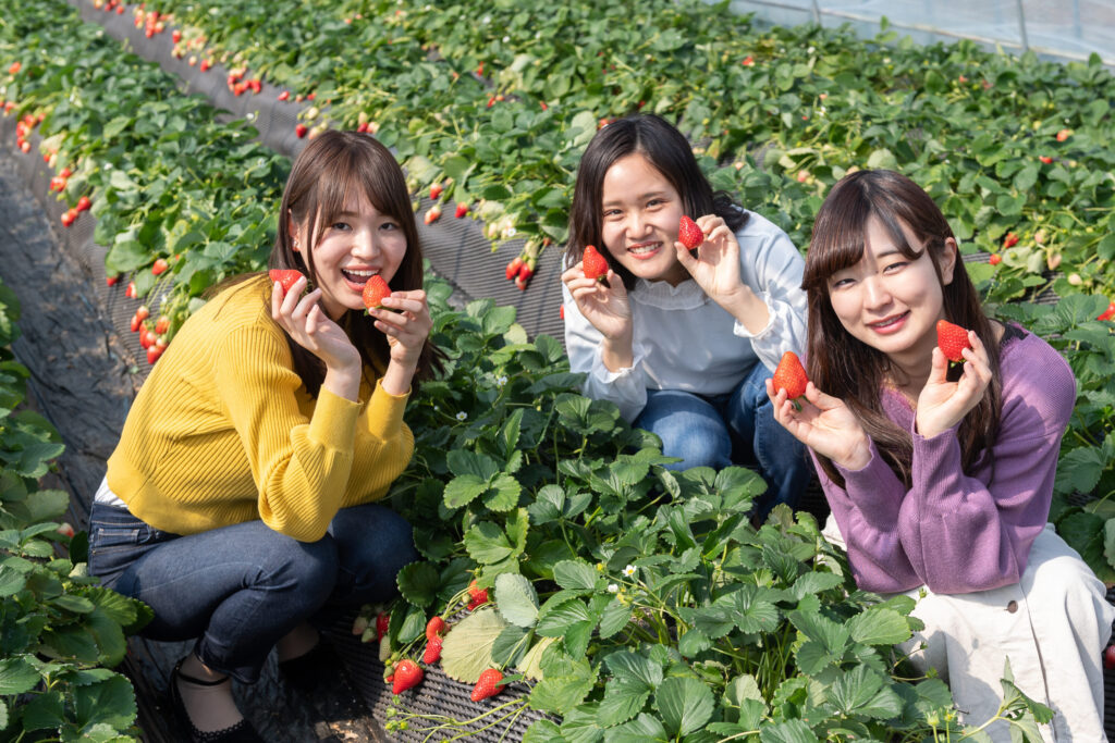 いちごの里