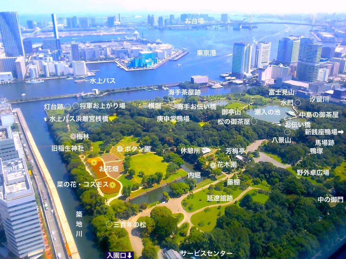 浜離宮恩賜庭園