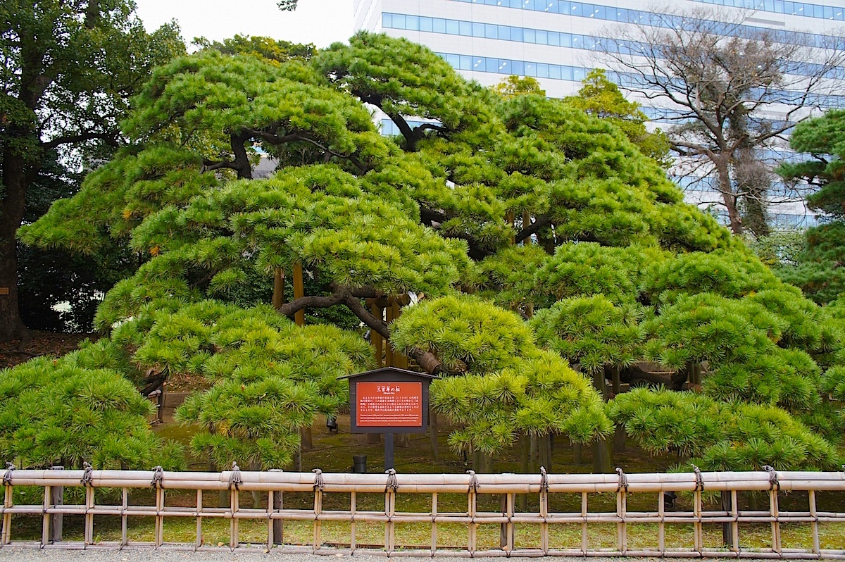 浜離宮恩賜庭園