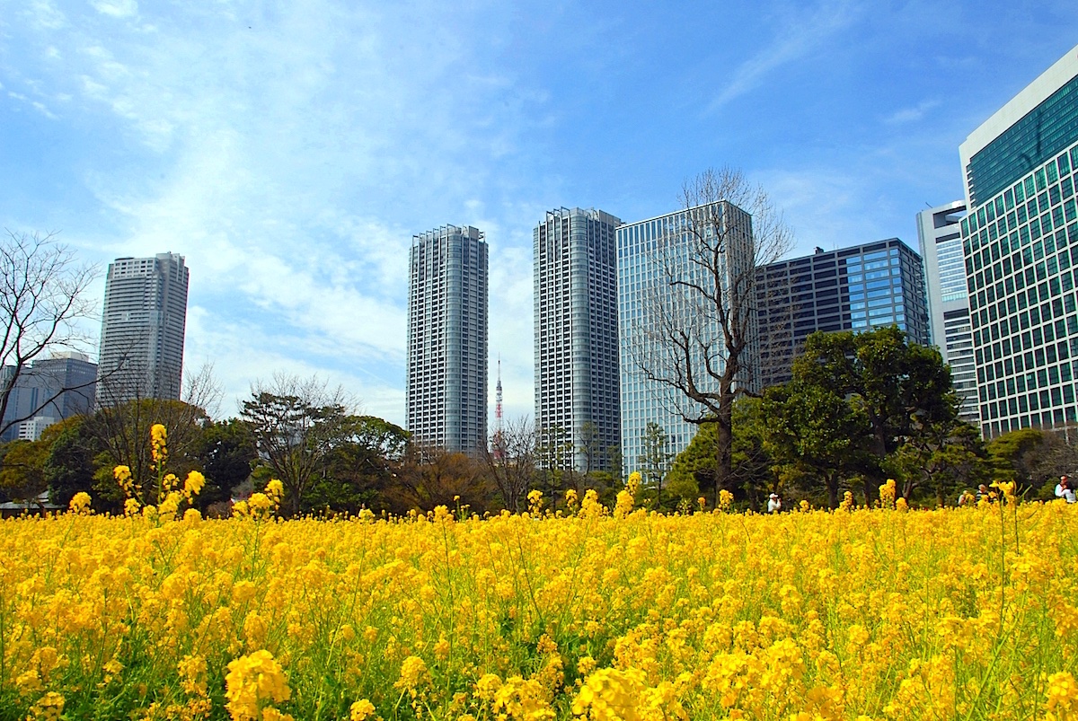 浜離宮恩賜庭園