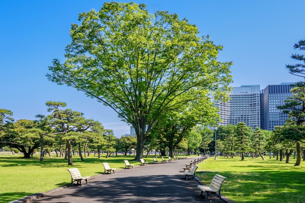 皇居外苑