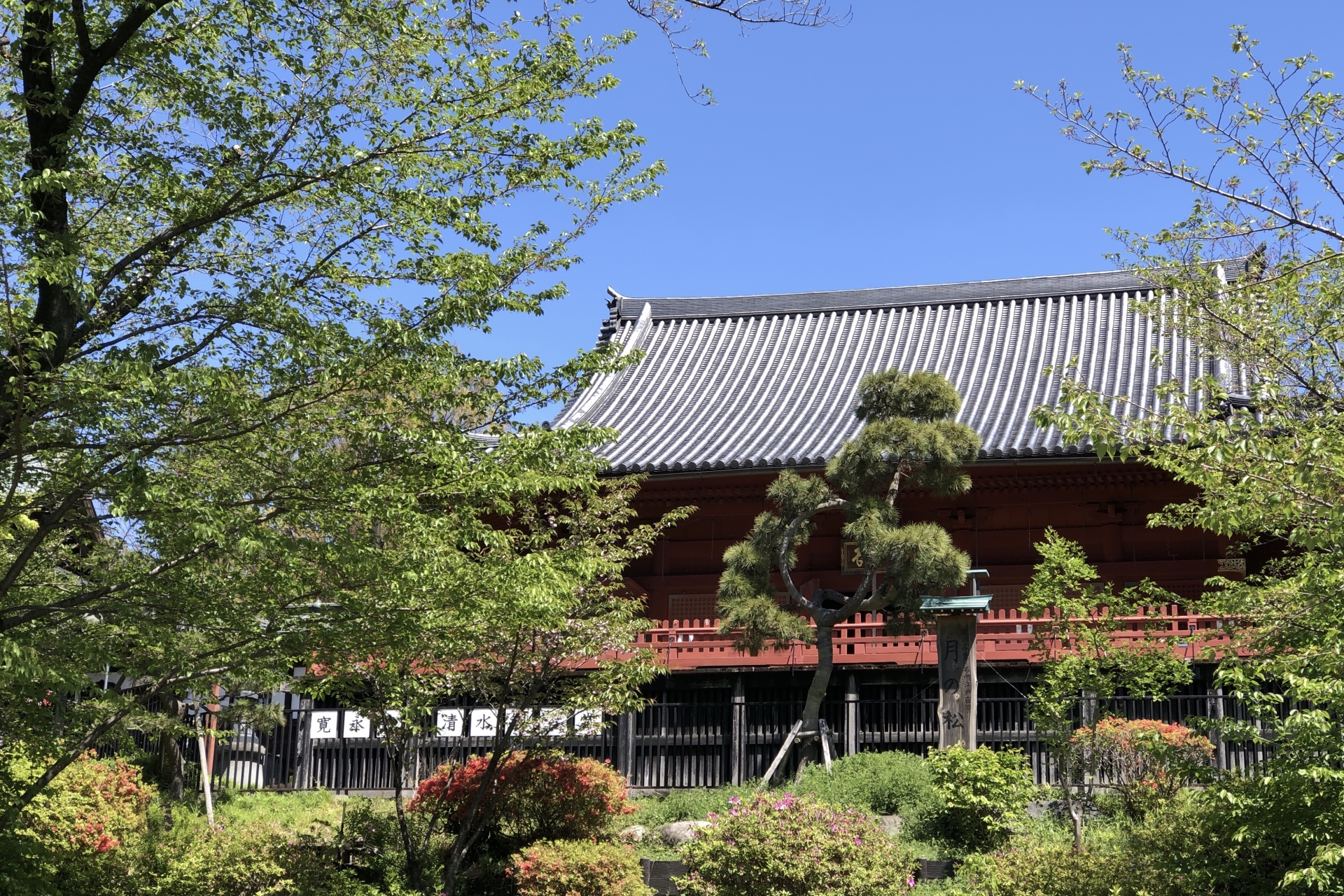 寛永寺