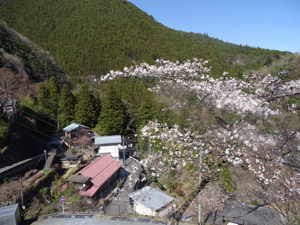 奥多摩むかし道