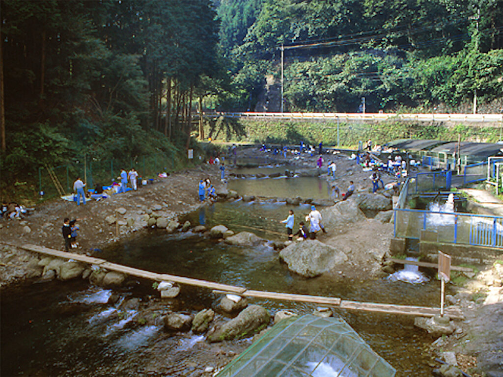 秋川国際マス釣場