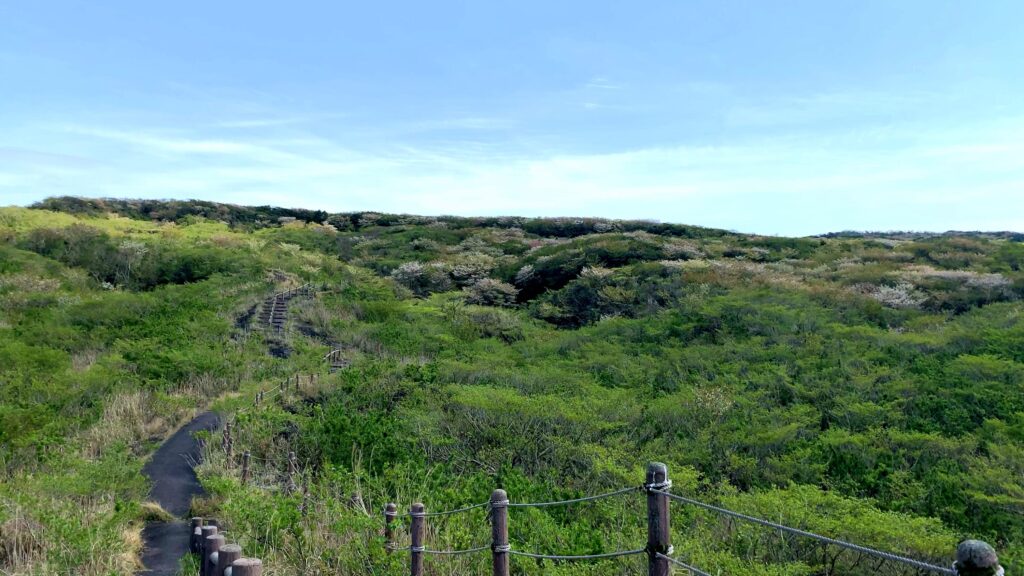 三原山・割れ目噴火口