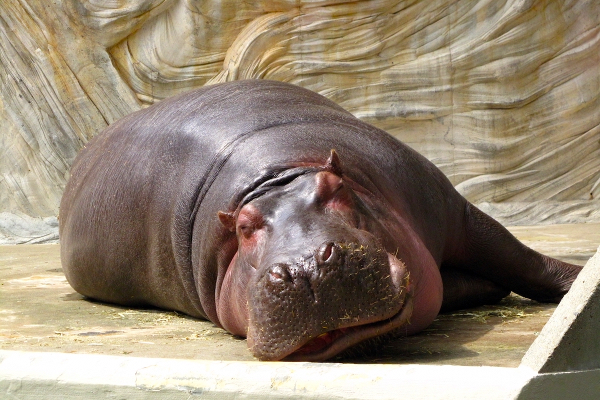 上野動物園