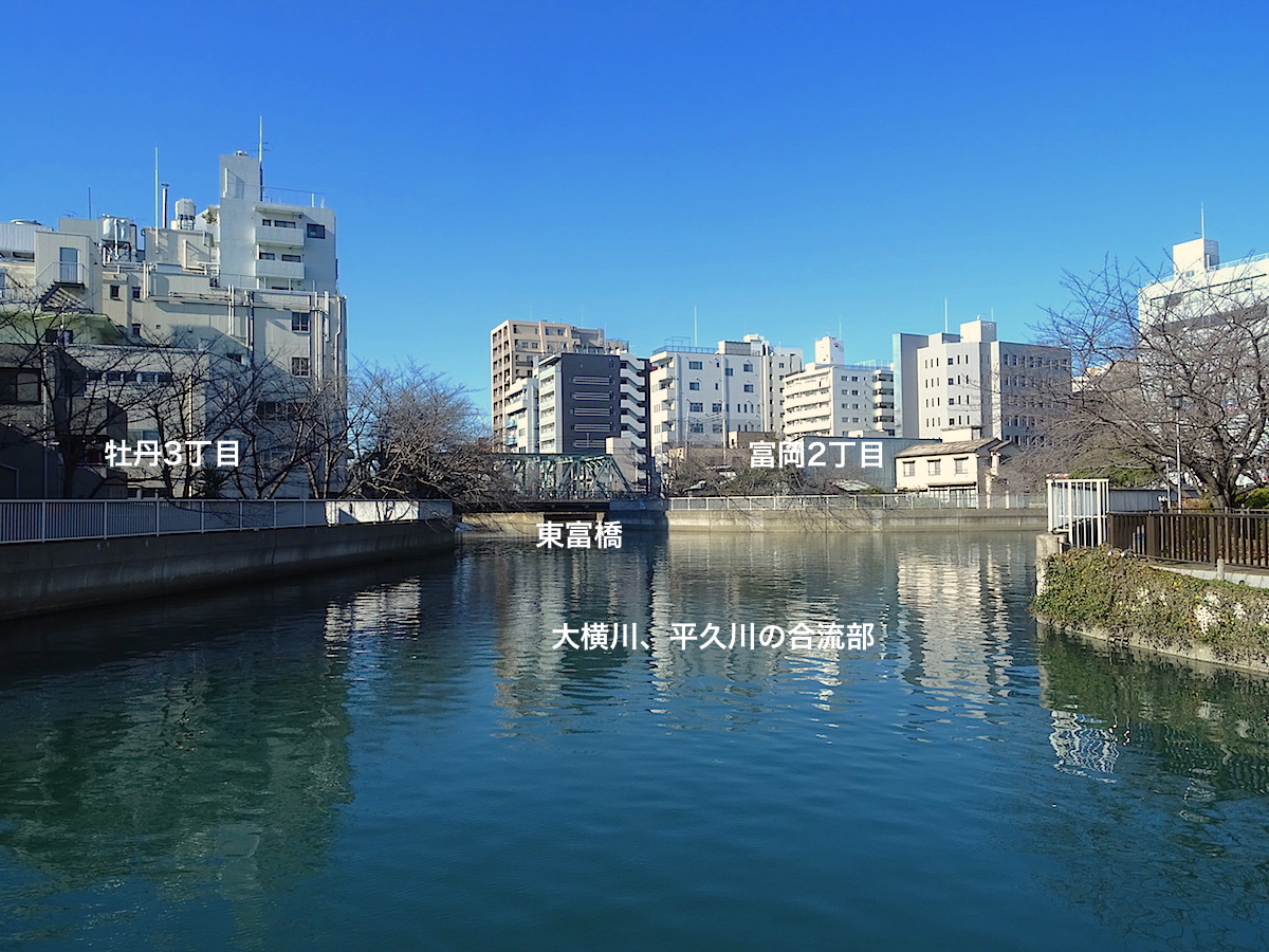 東南側、江戸時代の木置き場前からの眺め