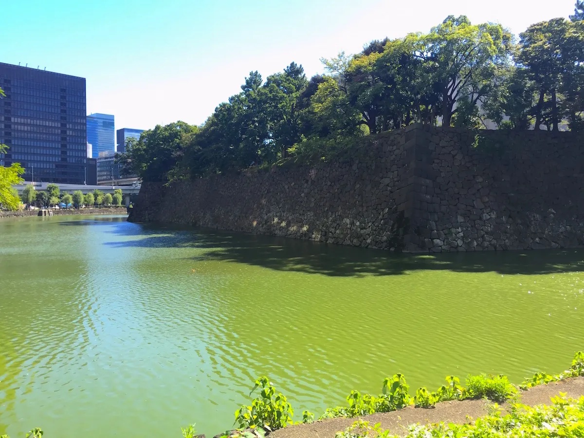 土橋の上から清水濠を眺望