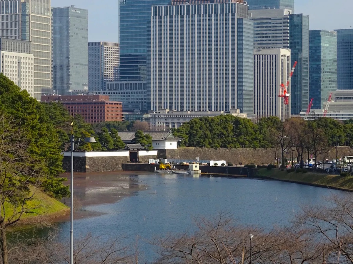 国会前庭・北庭（彦根藩井伊家上屋敷跡）