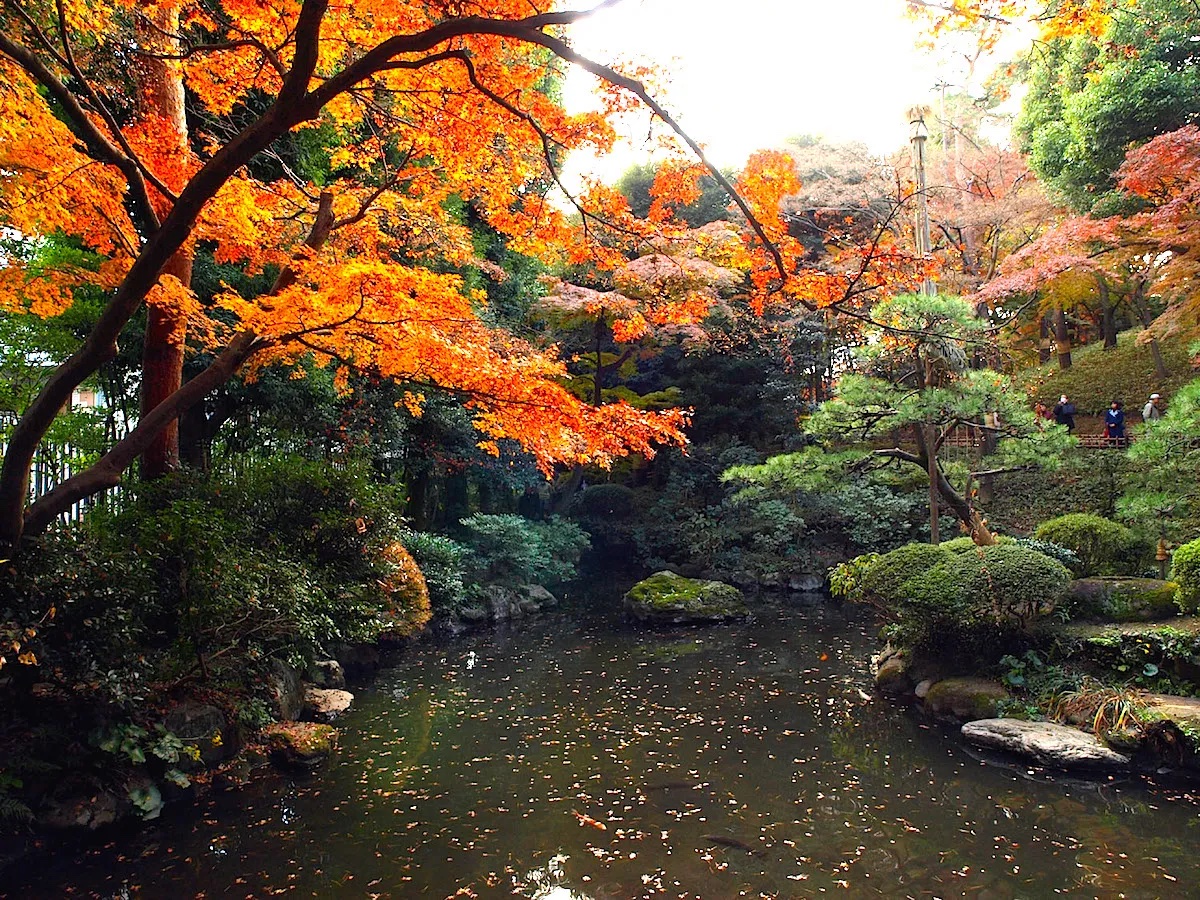 殿ヶ谷戸庭園