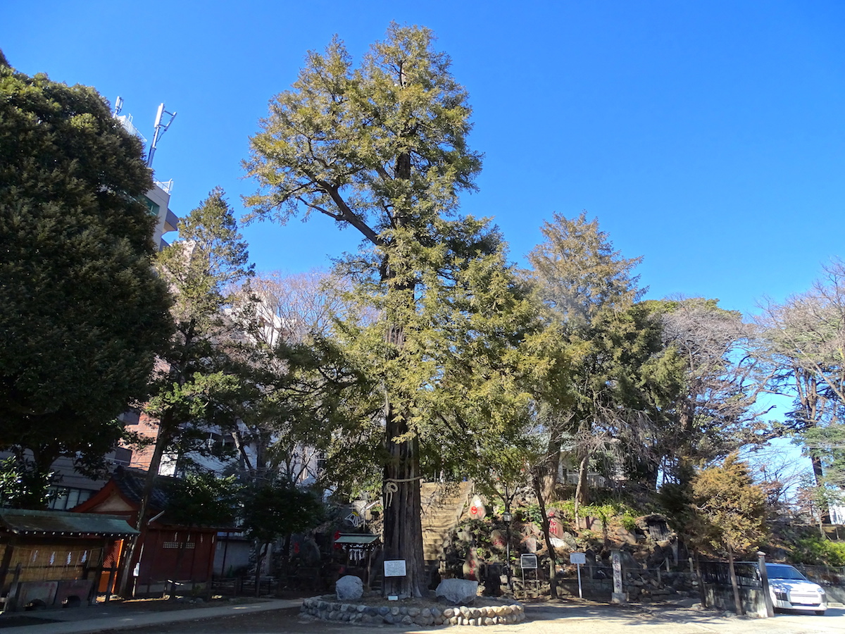 駒込富士神社