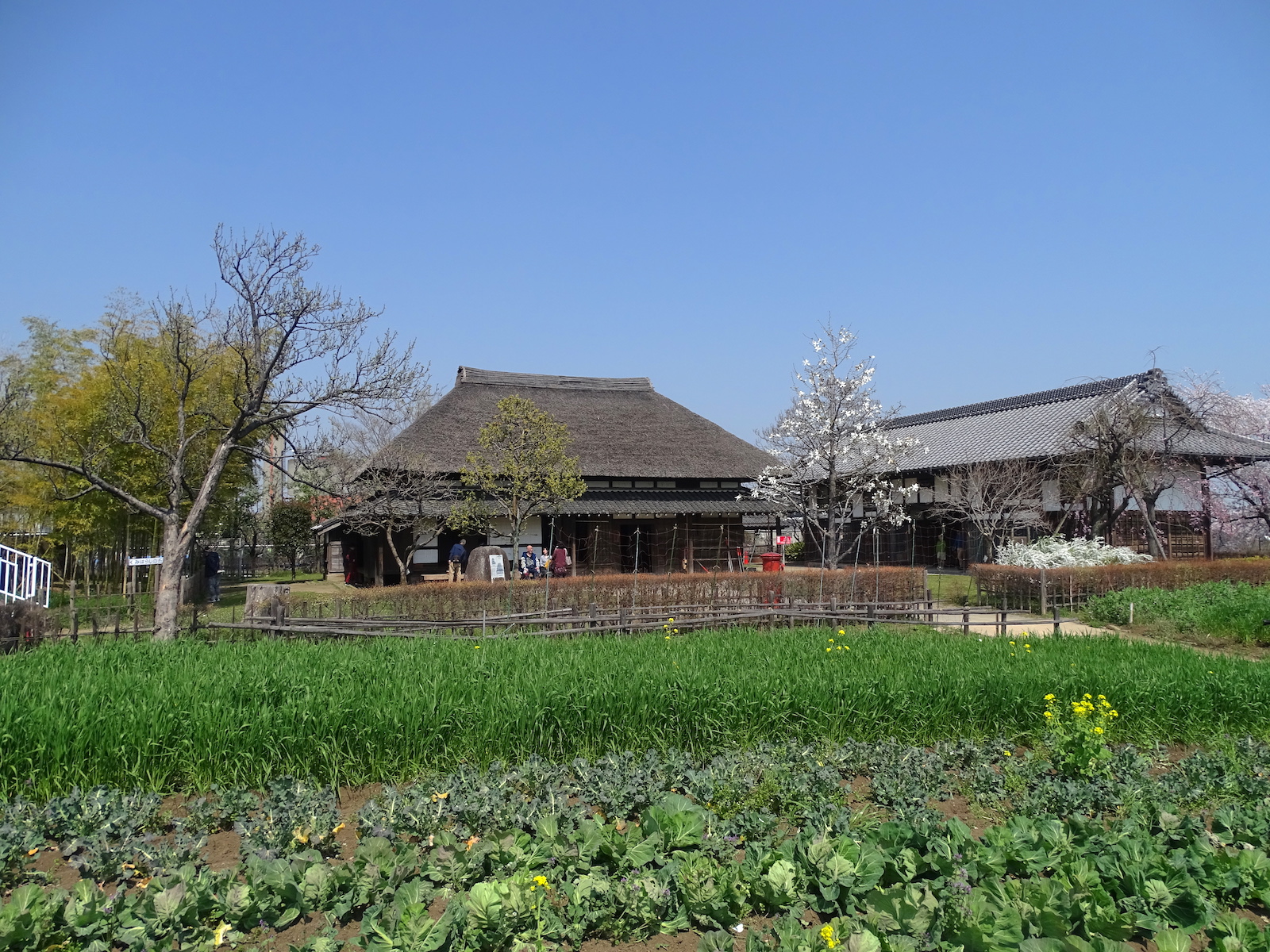 都市農業公園