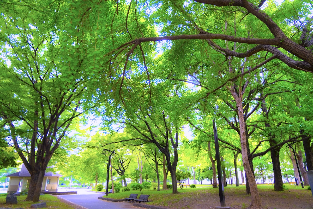 芝公園
