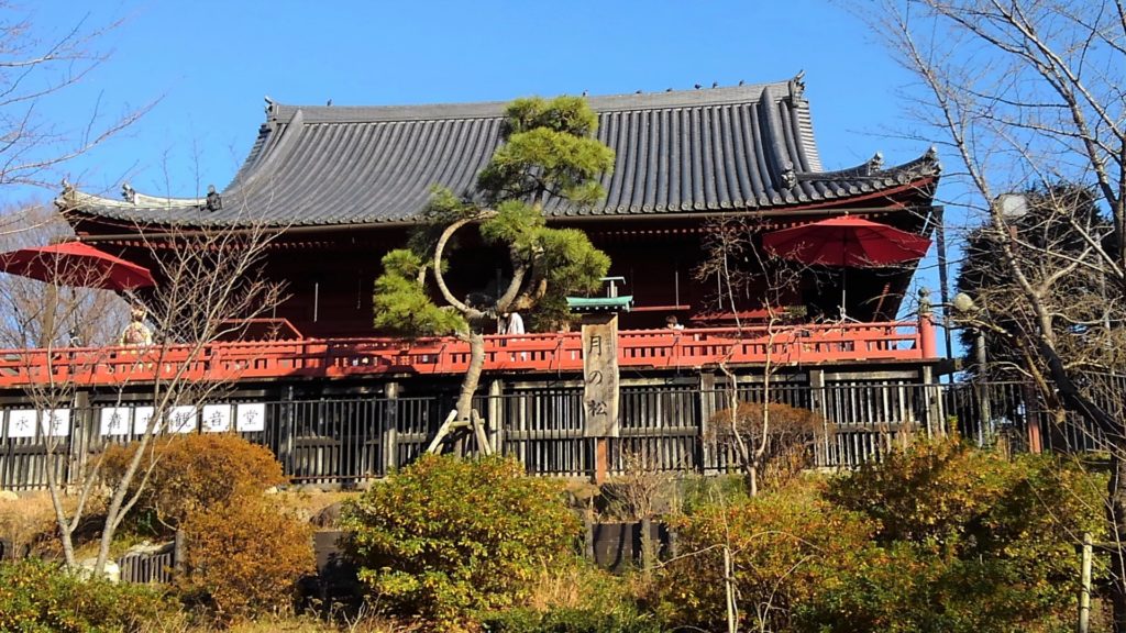 寛永寺・清水観音堂 月の松