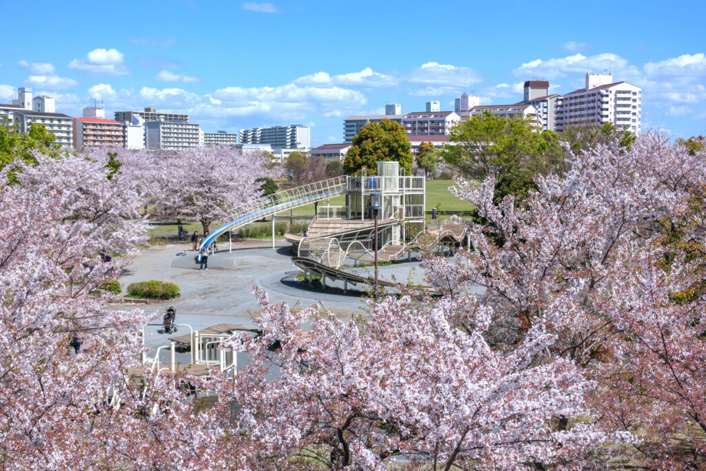 大島小松川公園