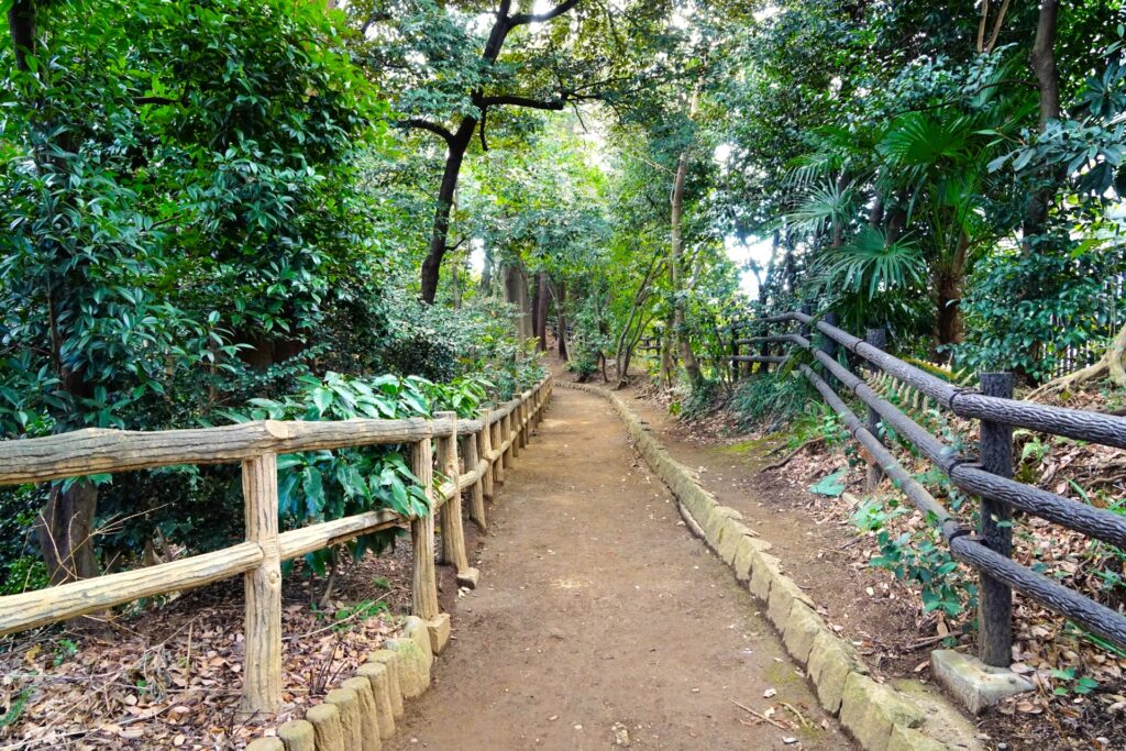 おとめ山公園