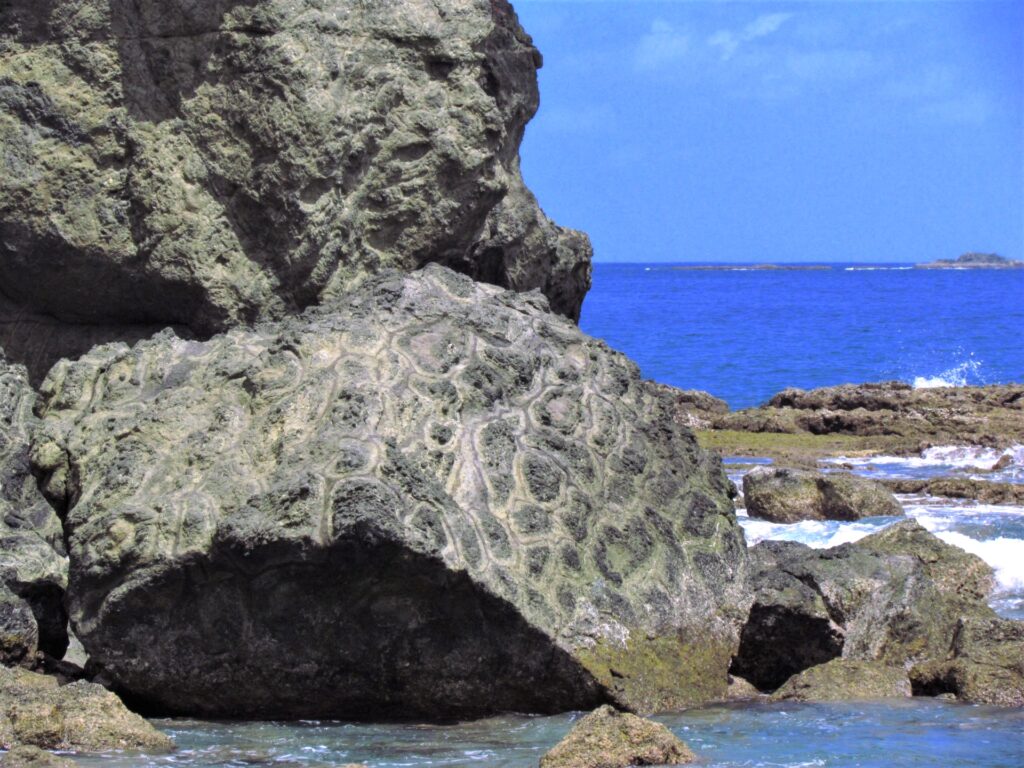 初寝浦