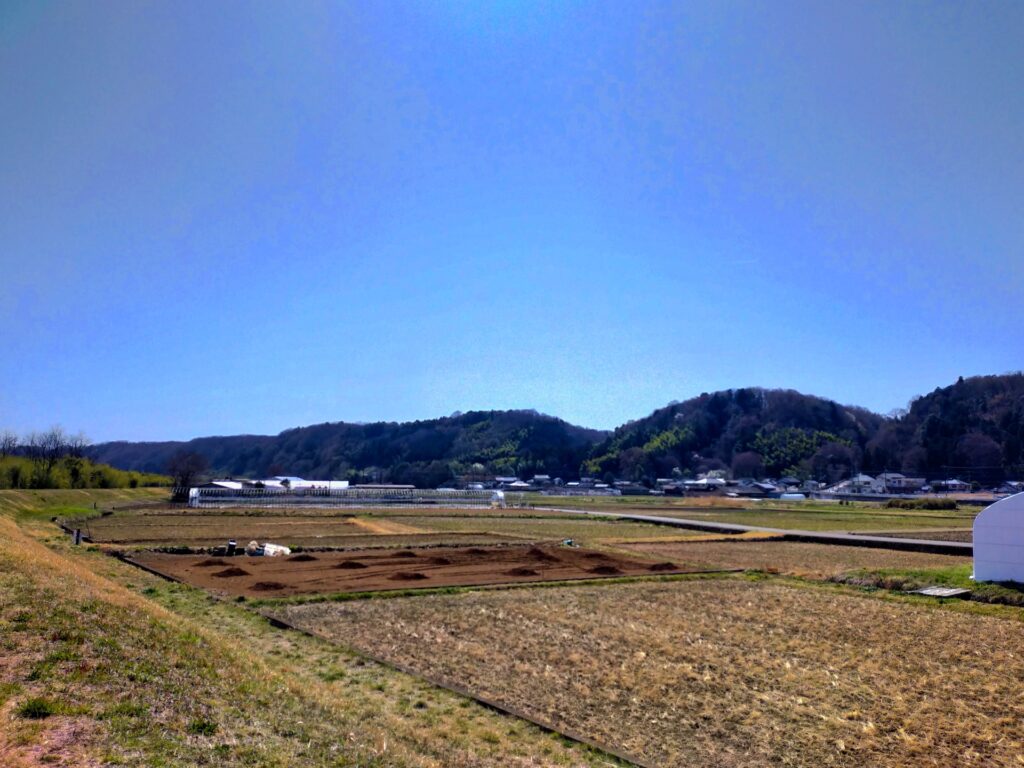 滝山城