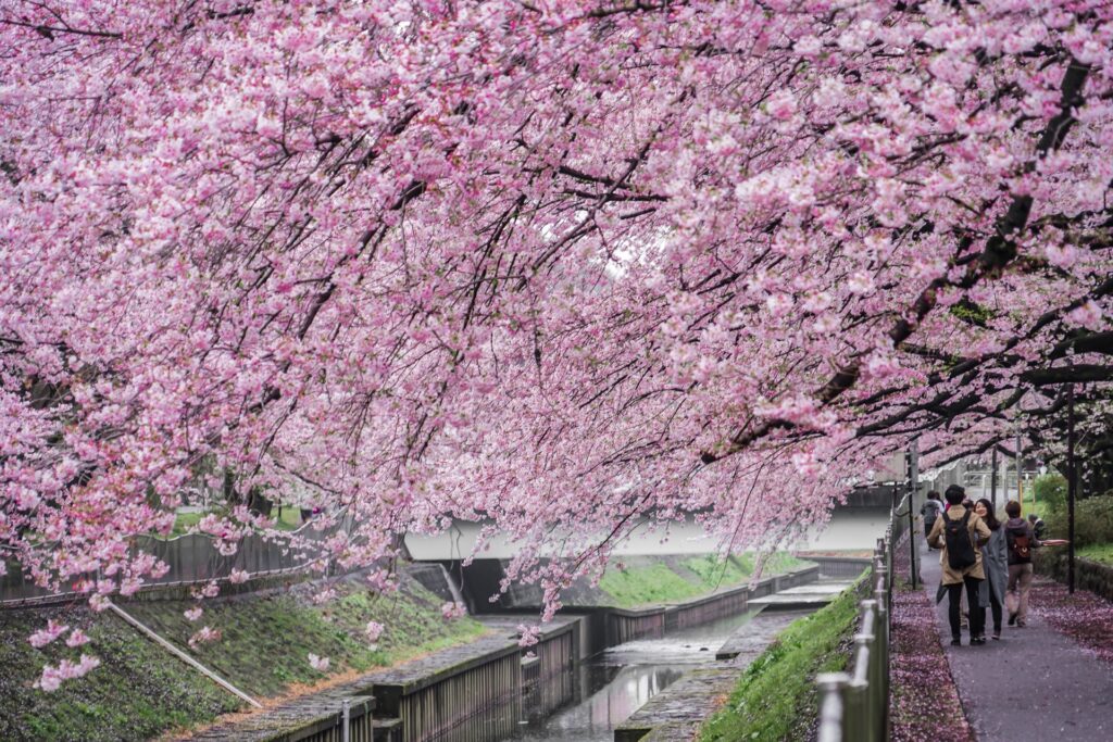 善福寺川緑地