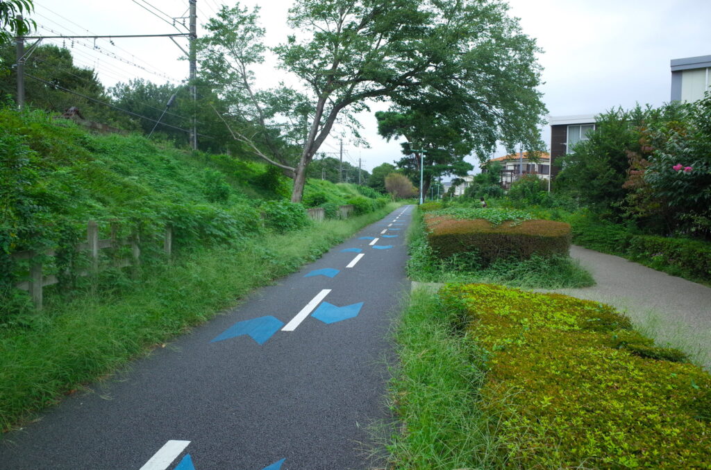 多摩湖自転車歩行者道