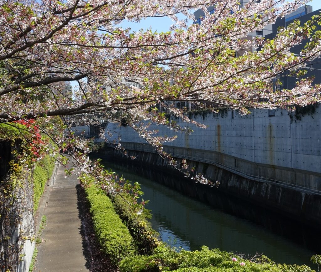 神田上水懸樋跡