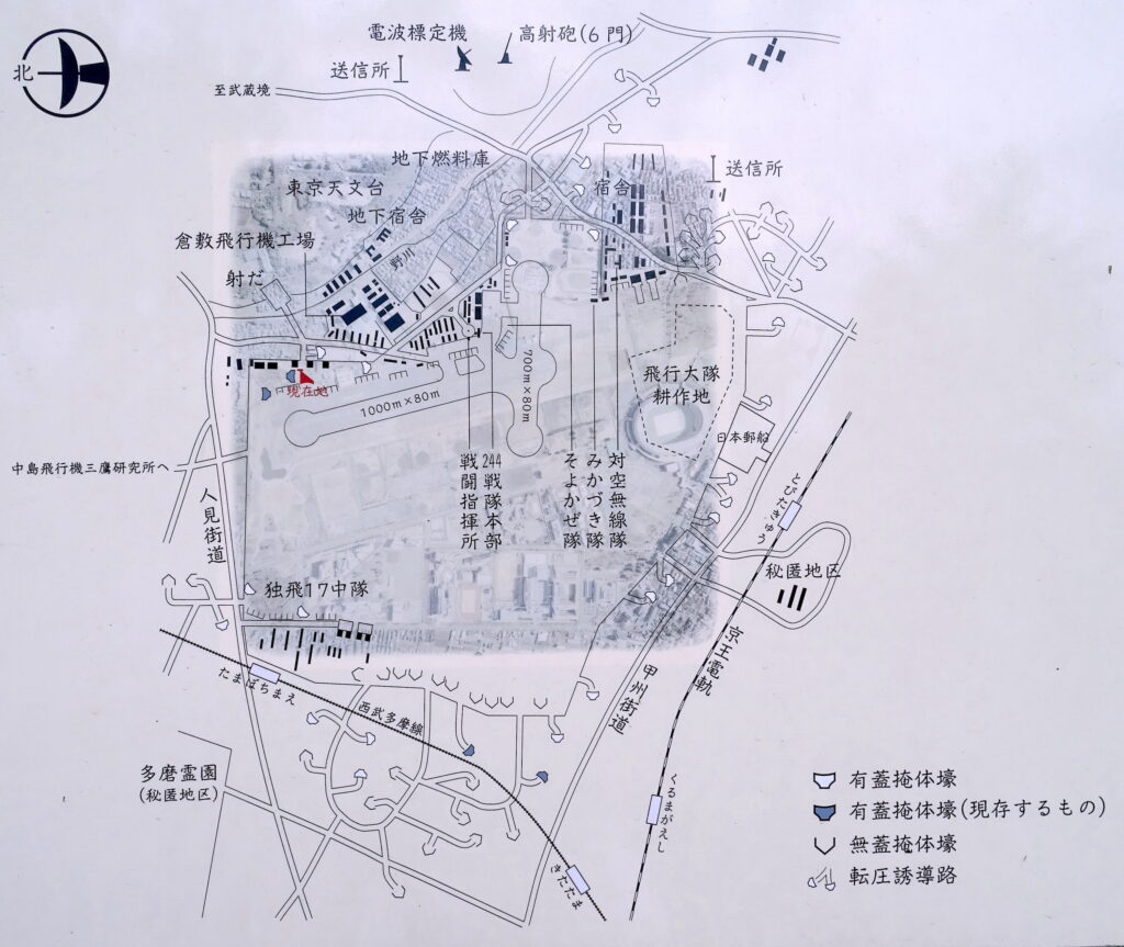 掩体壕 大沢1号