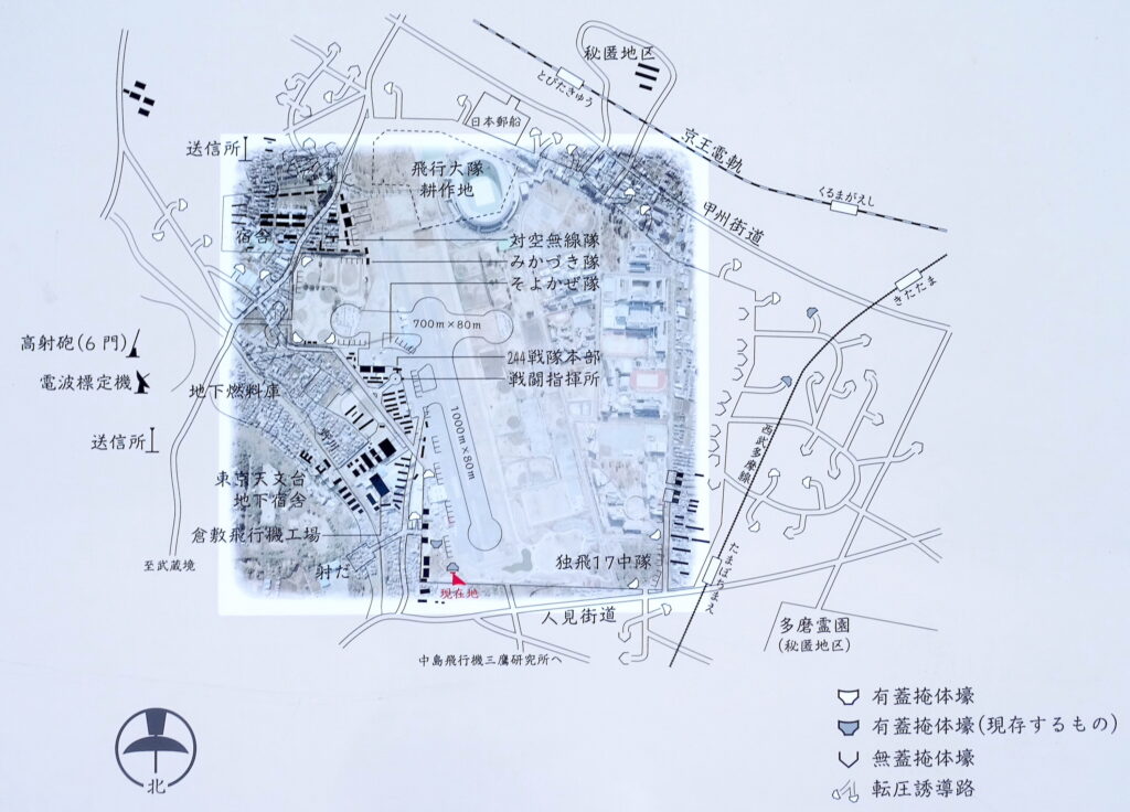 掩体壕 大沢2号