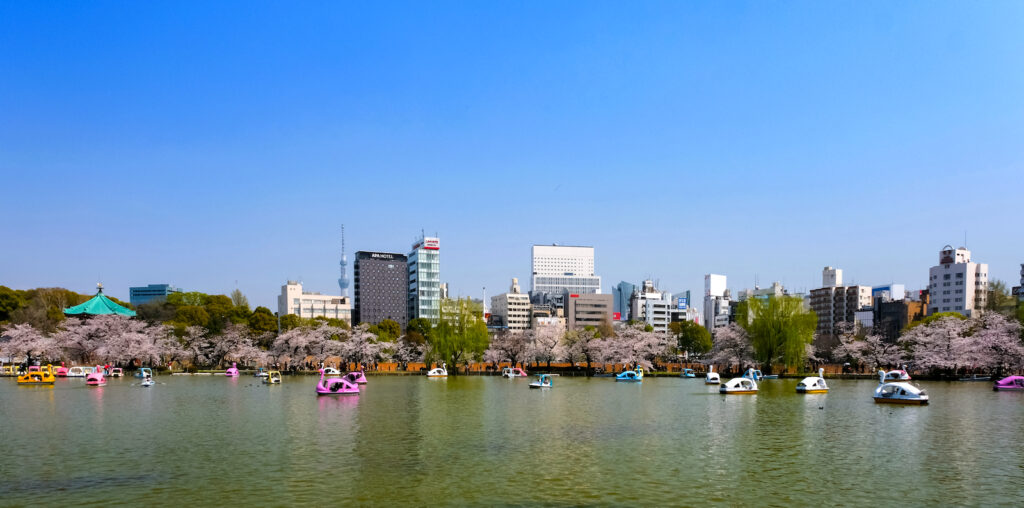 上野恩賜公園・不忍池ボート場