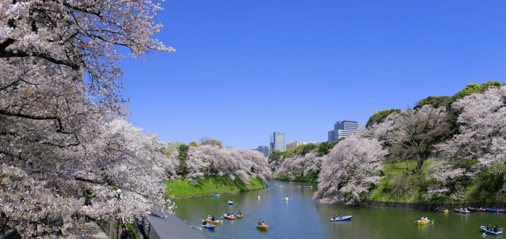 千鳥ヶ淵ボート場