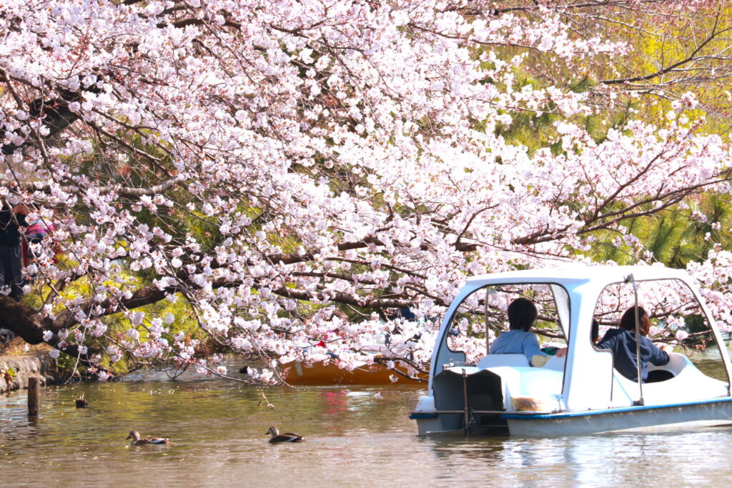 石神井公園・ボート場