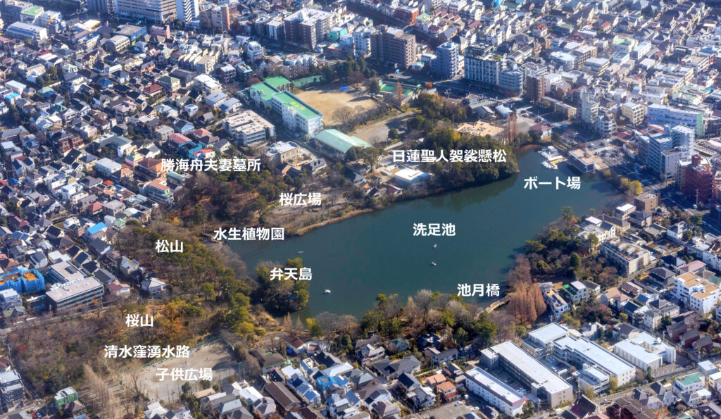 洗足池公園