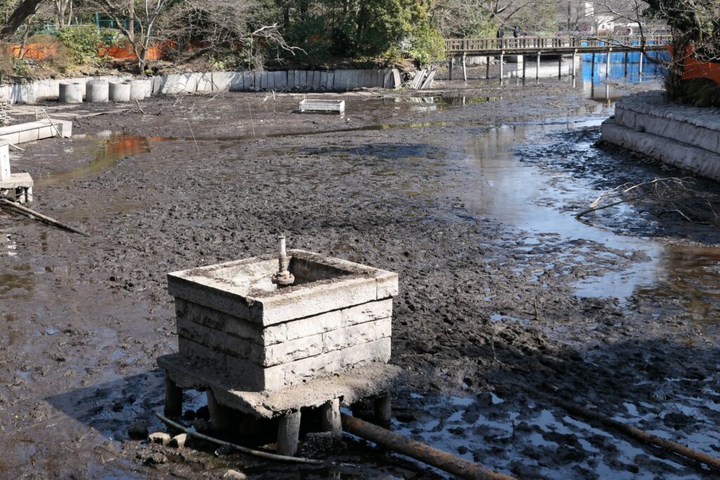井の頭池