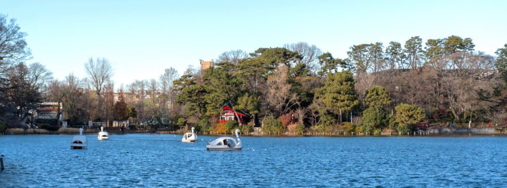 洗足池公園・ボート乗り場