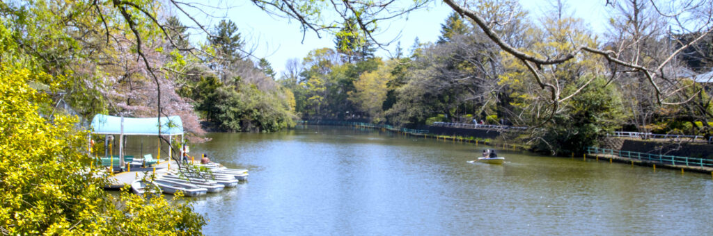 武蔵関公園・ボート場