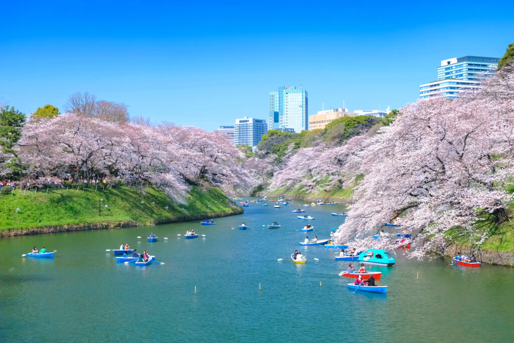 千鳥ヶ淵ボート場展望台