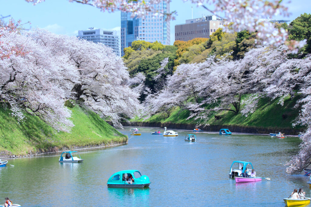 千鳥ヶ淵ボート場展望台