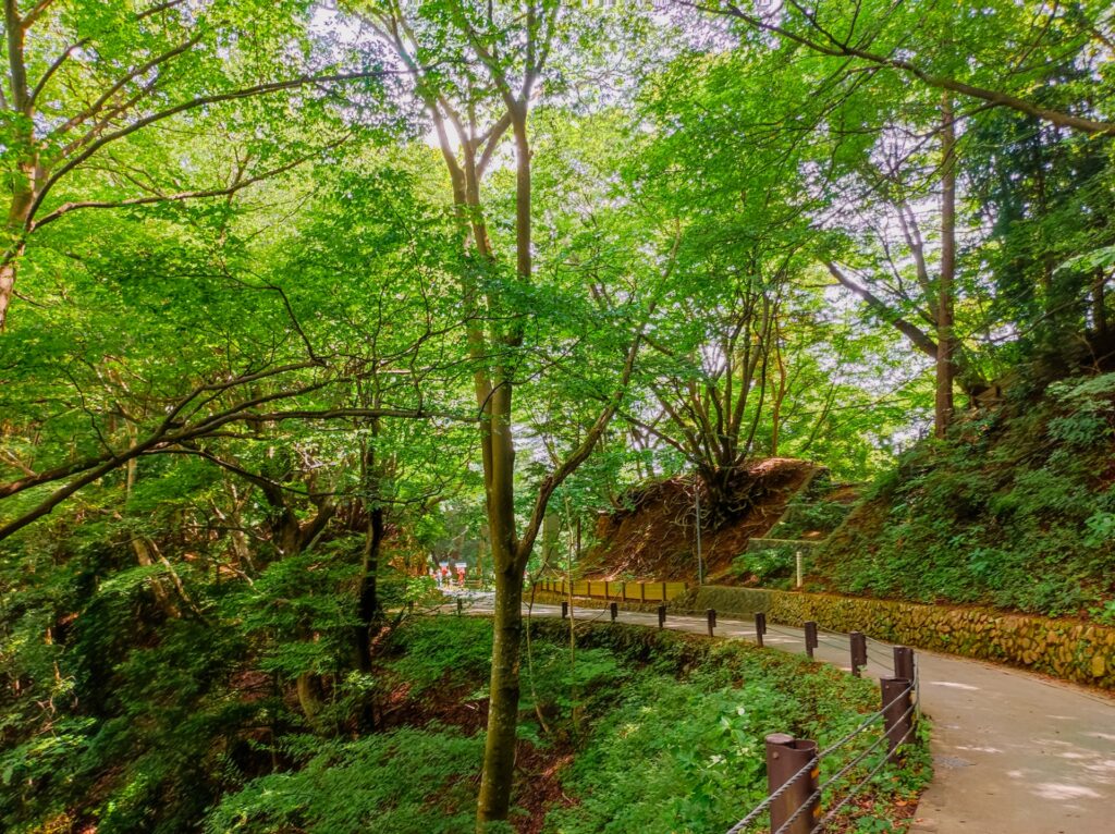 高尾山自然研究路1号路（表参道コース）