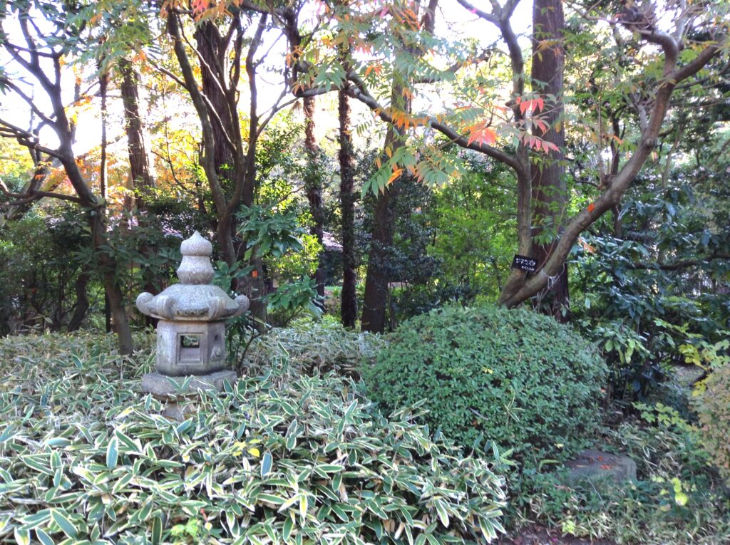 飛鳥山公園・旧渋沢庭園