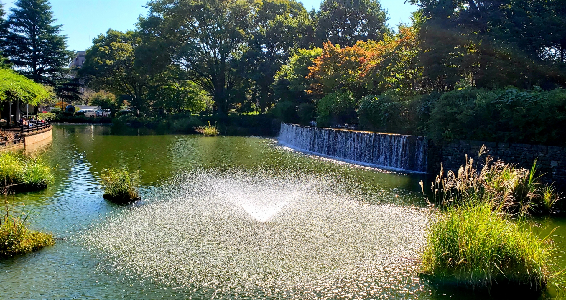 武蔵国分寺公園
