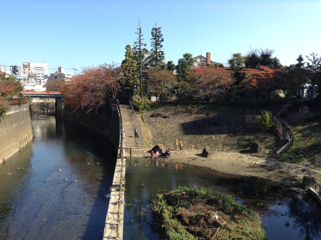 音無もみじ緑地（松橋弁財天跡）