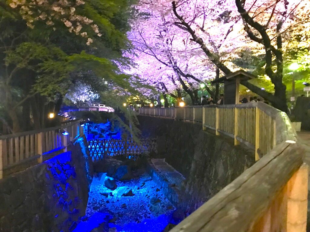 音無親水公園