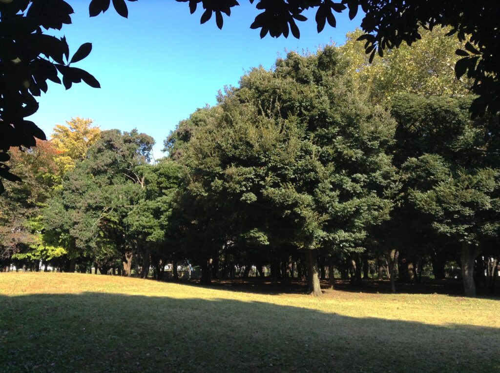 北区立中央公園