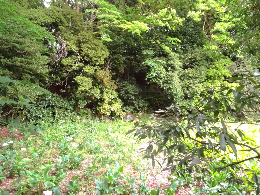 出山横穴墓群8号墓