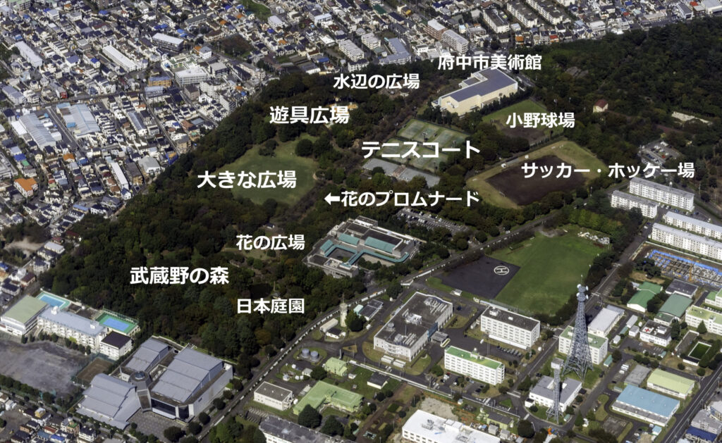 府中の森公園