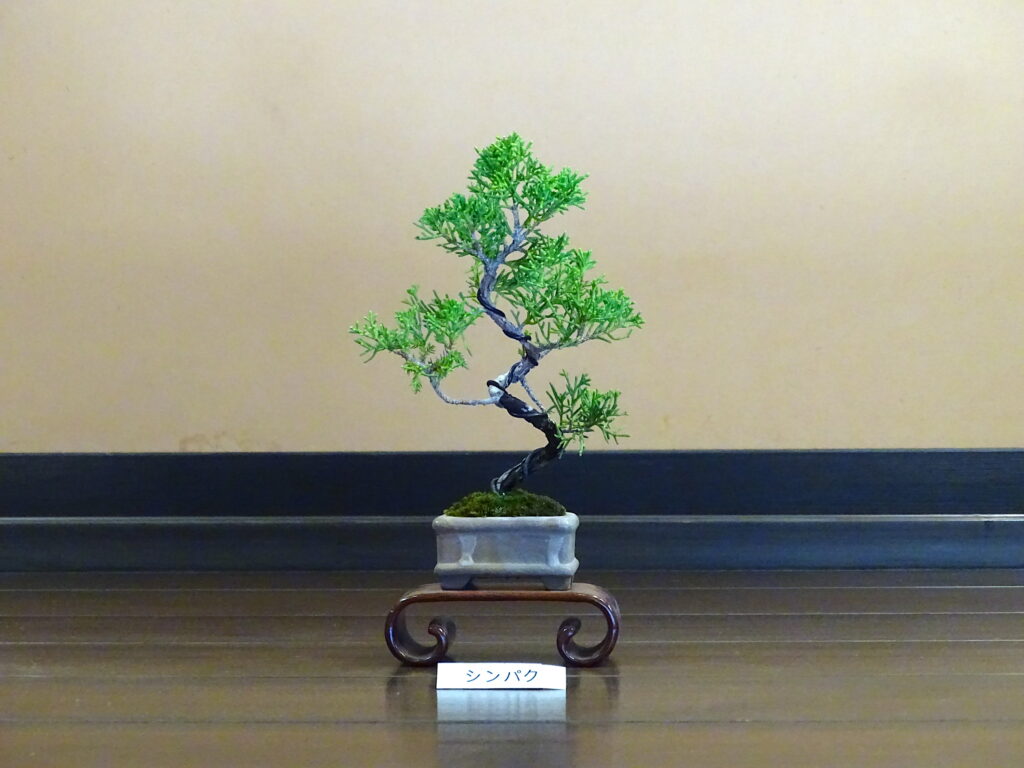 昭和記念公園・盆栽苑