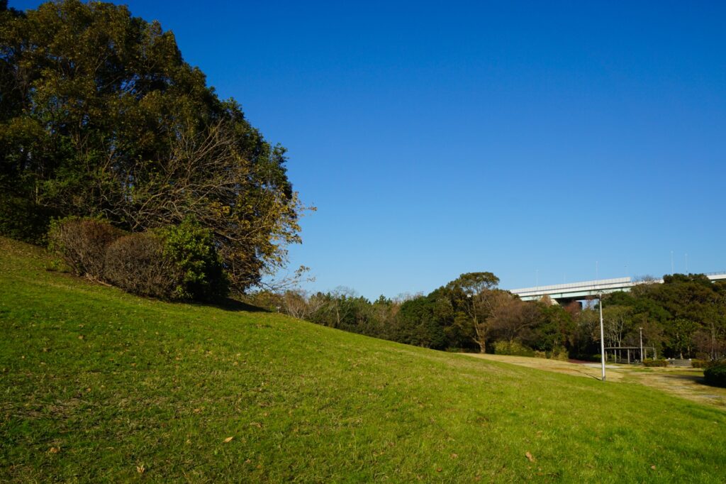 辰巳の森海浜公園