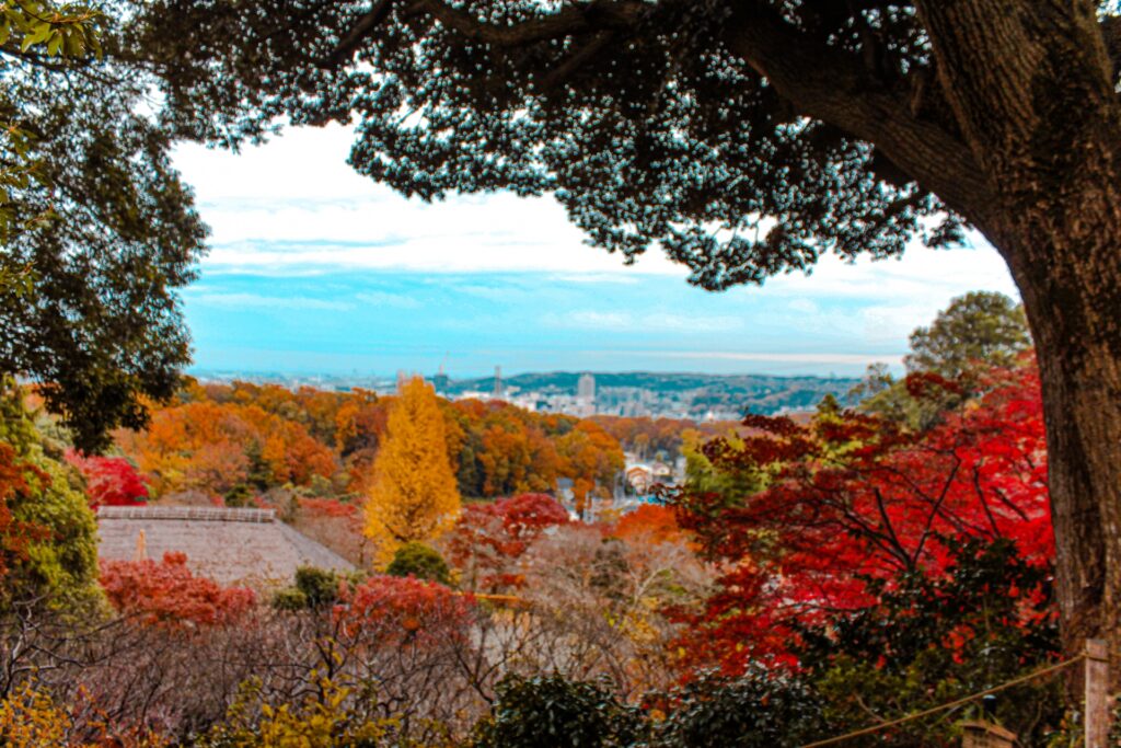 京王百草園