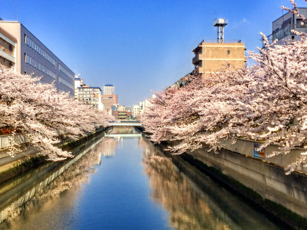 仙台堀川