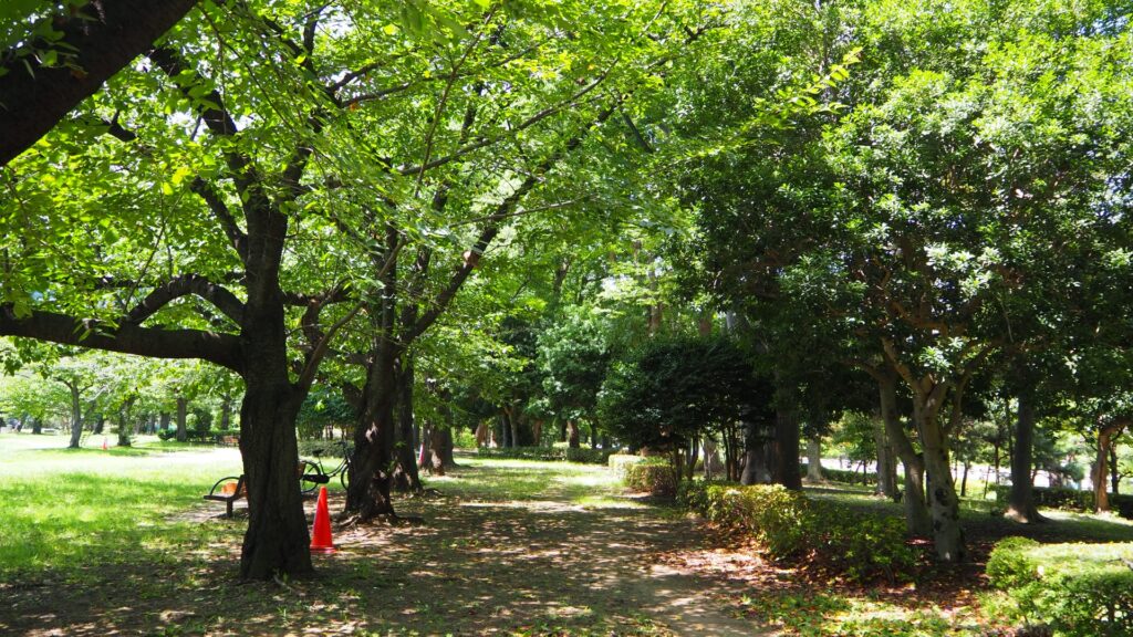亀戸中央公園